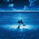 그랑블루 이미지