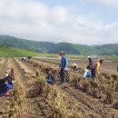 쌍백면사무소 이미지