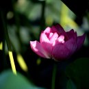 죽동체육공원 이미지