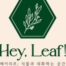 헤이리프