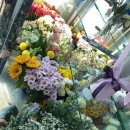 가드기멍 이미지