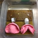 이상치과기공소 이미지