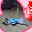 한남개화단맥종주(완) 이미지