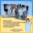 뉴스파 네이버블로그