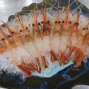 광안초등학교 이미지