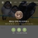 제비낭민박