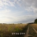 다시 법화경/24강-18(終) 용맹한 마음으로 이미지