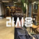 라시옹 이미지
