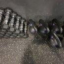 골든타임 핏 용담점 이미지