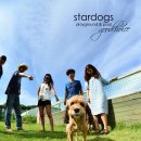 스타독스 이미지