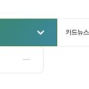 커리어플랫폼 이미지