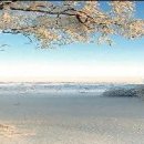 대경가스충전소 이미지