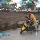 스쿠터꽃 이미지