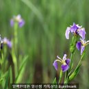 감로탕 이미지