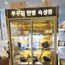 쭈꾸미와 친구들