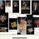 성미목장 | 데피오리+동행(campodefiori)시너프(siunff), 어밍톤플라워(ermington_bouquet) 촬영 후기, 촬영방법 순서