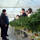 박상수농장 이미지