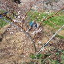 학 농장 이미지