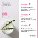 원데이클래스-퍼품 이미지