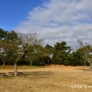 삼신목욕탕 이미지