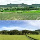 신안관광개발㈜ 이미지