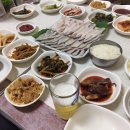 디얼지니 / 목포 한샘이네 : 하모회 맛집