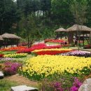 가족나들이 이미지