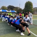 삽교초등학교 이미지