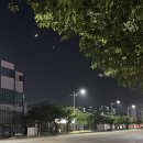 본가 토속왕순대 | 일상은 기록되어야만 기억된대.