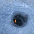 용면파크낚시터 이미지