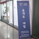 시럽네일잘하는 두정동네일 봄네일 추천 [윤자두네일]