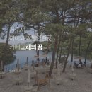 원주 아이랑 가기 좋은 카페 고래의 꿈 후기 (뷰 좋은 감성 카페)