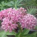 장현3리 이미지