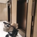 소노펫 뷰티 이미지