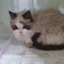 달성공원로8길 이미지