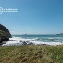 안덕면 풍물놀이 이미지