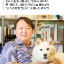 [경축] 윤석열 트위터에 토리랑 김건희 등판하심. 이미지