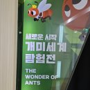 서천한우제2농장 | 서천 국립생태원 아이와 가볼만한곳｜개미세계탐험전 생태해설 후기