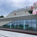 아이와 함께하는 동화여행 | 🌳 🎨 남원 피오리움, 아이와 함께하는 자연 속 예술 여행! (재방문 후기)