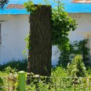 안양수리산한증원 이미지