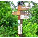 강릉임해자연휴양림 이미지