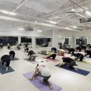 삼부휘트니스 이미지