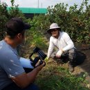 행복샘농장 이미지