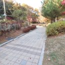 프라임1공인중개사사무소 이미지