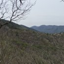 비조곡지 이미지