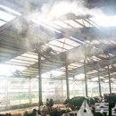 일람농장 이미지