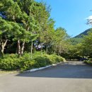 한우산애천하장사 이미지