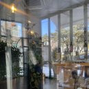 세븐일레븐 대전탄방행복점 | 📍[대전 /탄방역]트리니티 비스트로｜예약필수! 분위기 미친 탄방역 양식 맛집💖