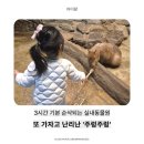 매월상점 | 서울 근교 아이랑 가볼만한곳 주렁주렁 하남점 리얼후기 (동물교감+실내놀이까지!)