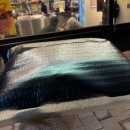 브라보치킨피자 수원호매실점 | 호매실 피자 맛집 추천ㅣ‘멜로피자 호매실점’ 방문 후기 🍕